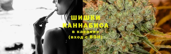 трава Корсаков