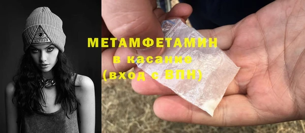трава Корсаков