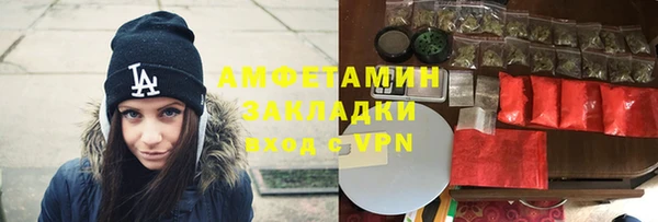 индика Козельск