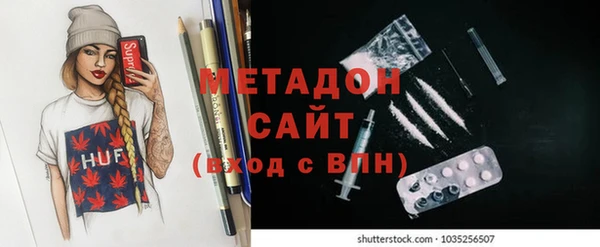 индика Козельск