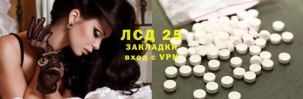 ГАЛЛЮЦИНОГЕННЫЕ ГРИБЫ Краснослободск