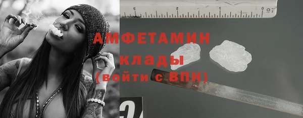 индика Козельск