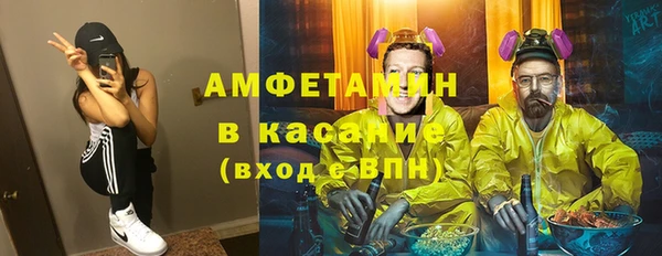 трава Корсаков