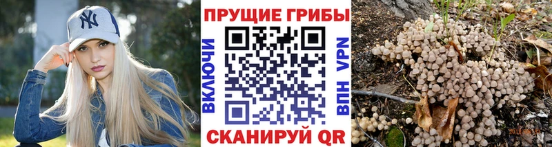 МЕГА ссылки  Краснокамск  Псилоцибиновые грибы мухоморы 