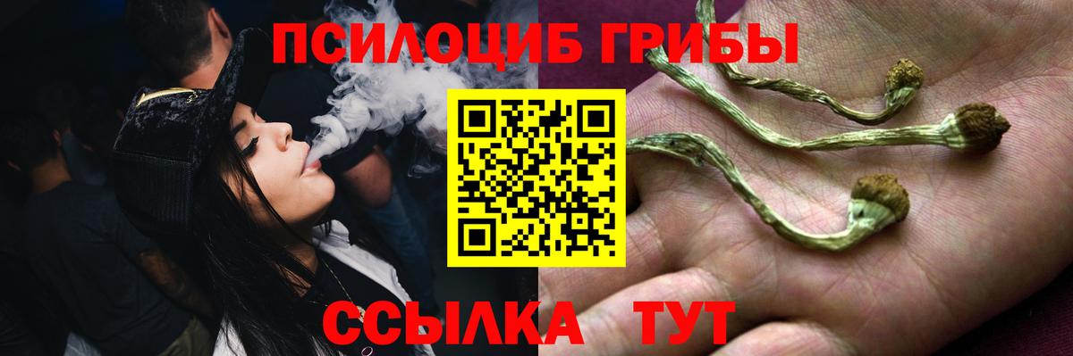 Галлюциногенные грибы MAGIC MUSHROOMS Краснокамск